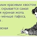 ���� �����, �����-��������� - ��������� 31 ������� 2015 � ������ ������ ��������