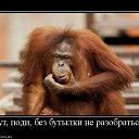 ���� ������, �������, 45 ��� - ��������� 19 ������ 2015 � ������ ���� ����������