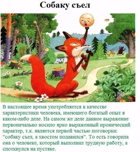 История русских пословиц и поговорок.Каждый народ в пословицах и поговорках отражает свой быт, свои ... - 5