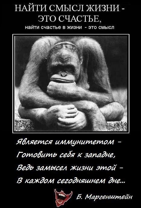 Oleg Sergeev - 31 ������ 2016 � 04:13