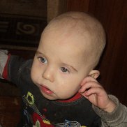 ����� ��������, 66 ���, ����������