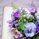 ���� ����, �����-���������, 51 ��� - ��������� 2 ������ 2015 � ������ ���� ����������