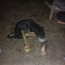 ���� �����, �����, 62 ���� - ��������� 16 ������� 2016 � ������ ������ ��������