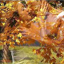 ���� ��������., ������ - ��������� 28 ������ 2015 � ������ ������ ��������