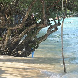 ���� Dmitriy, �������, 38 ��� - ��������� 15 ������ 2016