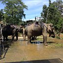 ���� �����, ���������, 56 ��� - ��������� 29 ������� 2015 � ������ ��������. ������. �����.�
