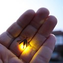  ,  -  18  2016     Ȼ