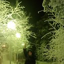 ���� ���, ��������, 49 ��� - ��������� 14 ������ 2015 � ������ ���� ����������