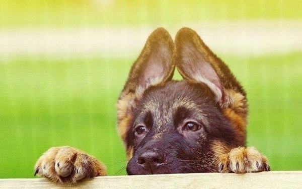 ������ ������ - 20 ������� 2015 � 17:56