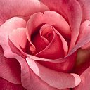 ���� Andrei, �������, 60 ��� - ��������� 13 ������ 2015 � ������ �����ۻ