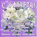 ���� ����, �����, 44 ���� - ��������� 8 ����� 2016 � ������ ������ ��������