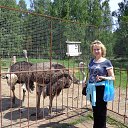 ���� �������, �����, 65 ��� - ��������� 13 ������� 2015 � ������ ���� ����������