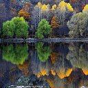  , , 52  -  24  2015   !!!