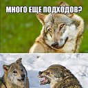 ���� �����, ���������, 47 ��� - ��������� 11 ������ 2016 � ������ ������ ��������