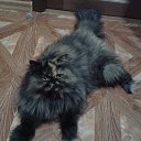 ��� ����� �� ������� ���� ����������