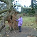 ���� �����, ��������, 65 ��� - ��������� 22 ������� 2015 � ������ ���� ����������