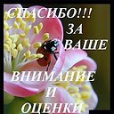 ���� ����, ������� - ��������� 12 ������� 2016 � ������ ������ ��������