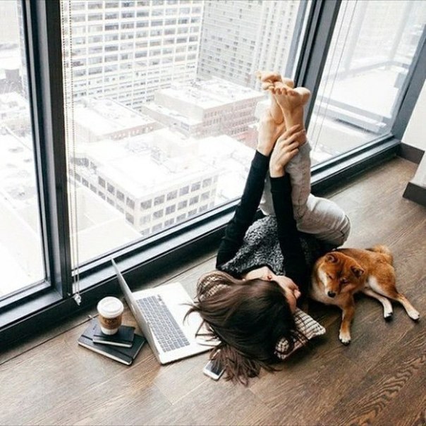 Муж сказал жене: