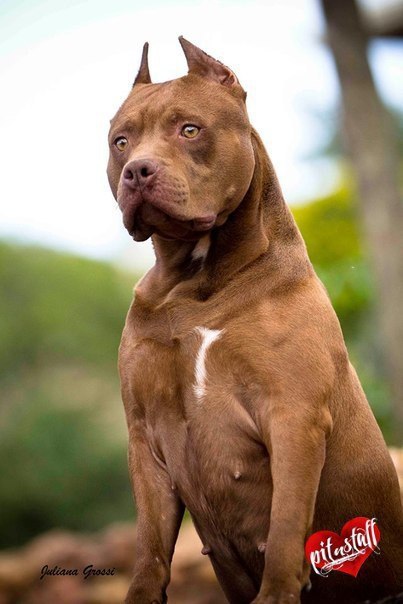 ������ ������ - 11 ������ 2016 � 22:32