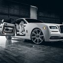 ���� ������, ���������, 41 ��� - ��������� 1 ����� 2016 � ������ ���� ����������