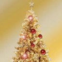 ���� *�������*, ������ - ��������� 5 ������ 2016 � ������ ���� ����������