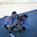 ���� ������, ������������, 53 ���� - ��������� 14 ������� 2015