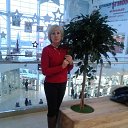 ���� ��������, ������������, 58 ��� - ��������� 5 ������ 2016 � ������ �߻