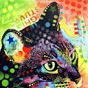 ���� �������� ����, ������, 49 ��� - ��������� 5 ������� 2015 � ������ ������ ��������