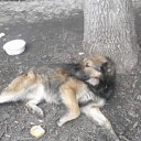 ���� ����, ������ - ��������� 22 ������� 2015 � ������ ���� ����������