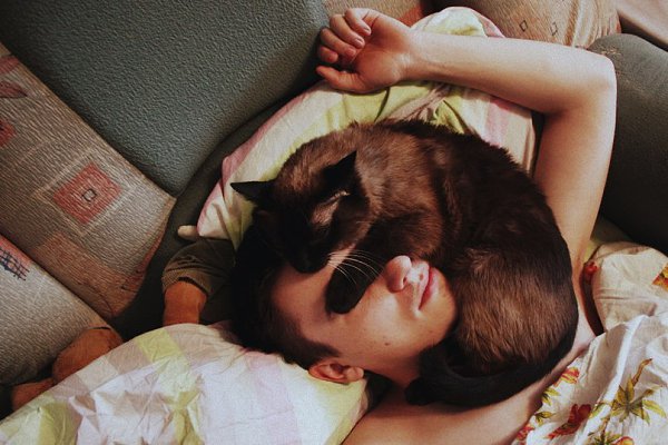 Октябрьский синдром.Уже середина осени -Тепла в батареях нет,И кот в мои руки просится,Мы будем друг ...