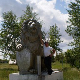 �������, ����������, 43 ����