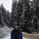  ,  , 61  -  28  2016    .