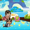 ���� ��������, �����, 55 ��� - ��������� 30 �������� 2015 � ������ ��������