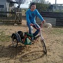 ���� Lev, ������ - ��������� 19 ������� 2015 � ������ ���� ����������