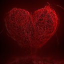 ���� �������, �������, 42 ���� - ��������� 20 ������ 2016 � ������ ������ ��������