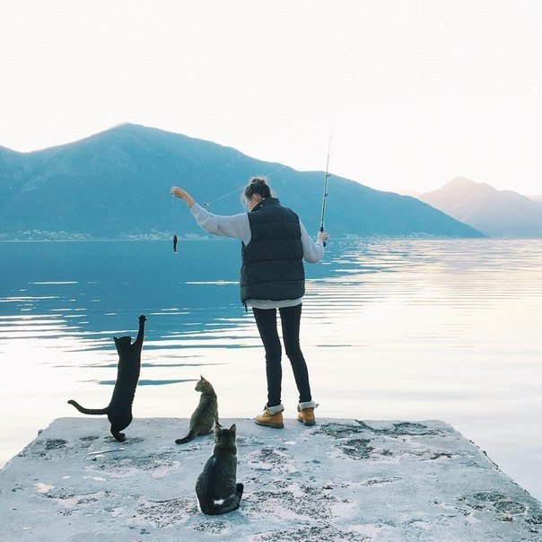  ,      .  ,  ,    . ... - 3