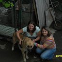 ���� ������, ����� - ��������� 12 ������ 2016 � ������ ���� ����������