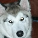 ���� �����, ������� - ��������� 23 ������ 2016 � ������ ������������ �������