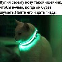 ���� Qwert72, �������, 53 ���� - ��������� 31 ������� 2015 � ������ ���� ����������