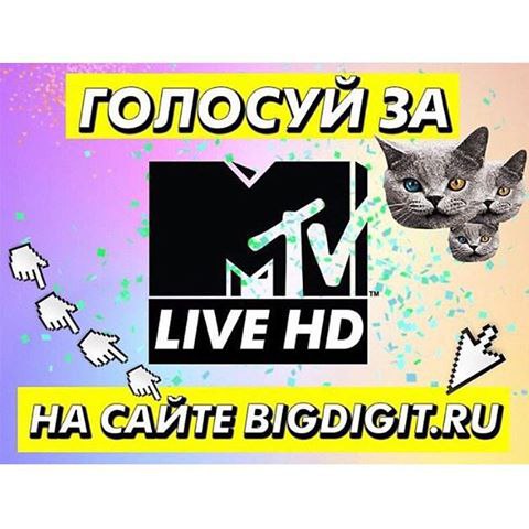  MTV       