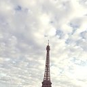 ���� �������, ����, 41 ��� - ��������� 8 ������� 2015