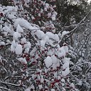 ���� ����, ����������, 57 ��� - ��������� 5 ������� 2015 � ������ ������ ��������