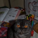 ���� ������, ����� - ��������� 8 ������� 2015 � ������ ������ ��������