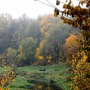 ���� �����, �����, 64 ���� - ��������� 9 ������ 2015 � ������ ��������� ����. 25.10.2015�