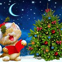 ���� ˸��, ������, 41 ��� - ��������� 22 ������� 2015 � ������ ���� ����������