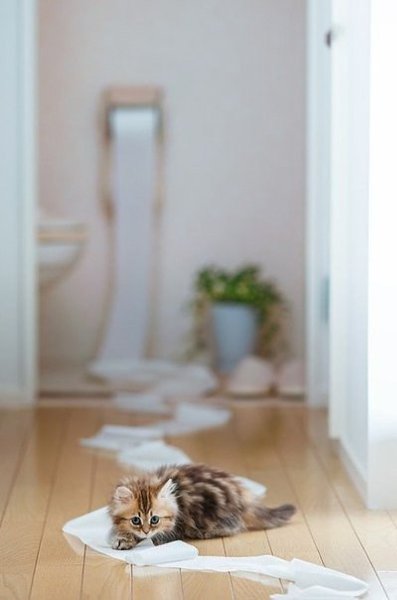 ||  ... || - 14  2015  10:53 - 4