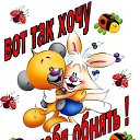 ���� ����, �����-���������, 44 ���� - ��������� 28 ������ 2015