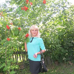 ���� �����, ��������, 41 ��� - ��������� 30 ������� 2015