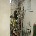 � ����� - ������ �� ������� ���� ����������