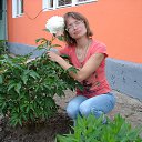  Viktori@,  -  20  2015    